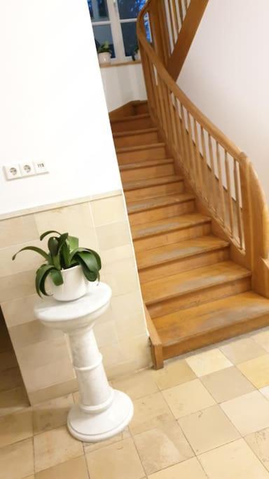 Ferienwohnung In Der Villa Sana Mit Grossem Garten Rofingen Экстерьер фото