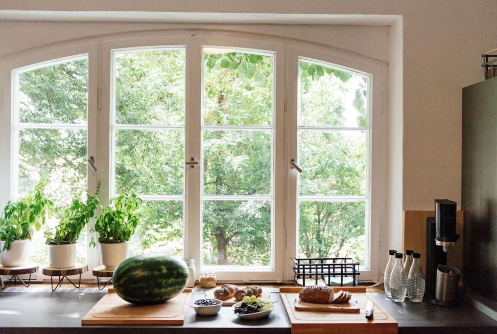 Ferienwohnung In Der Villa Sana Mit Grossem Garten Rofingen Экстерьер фото