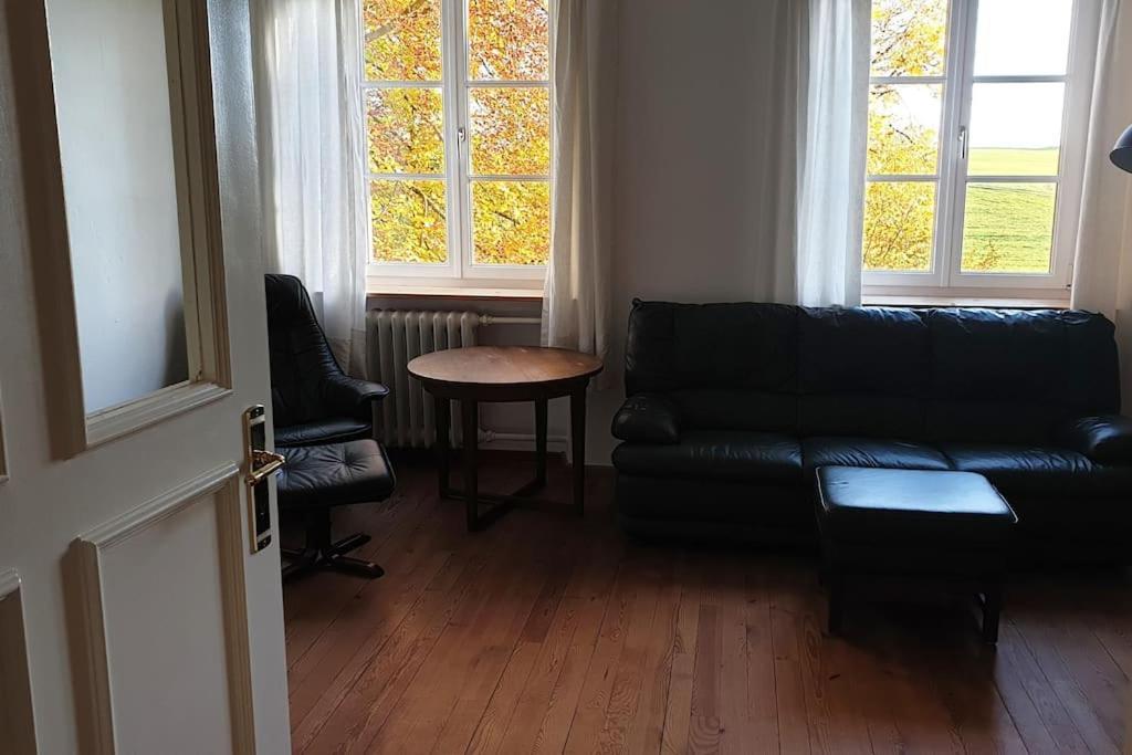 Ferienwohnung In Der Villa Sana Mit Grossem Garten Rofingen Экстерьер фото