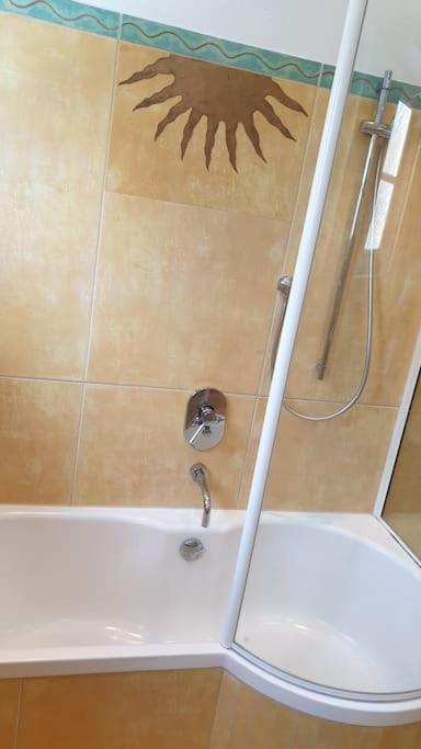 Ferienwohnung In Der Villa Sana Mit Grossem Garten Rofingen Экстерьер фото